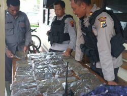 Gelar Patroli di Perbatasan RI-PNG, Polisi Temukan 40 Paket Ganja