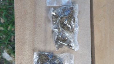 DPO Pengedar Ganja Ditangkap Polisi
