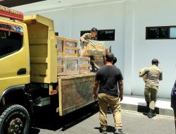 Penutupan Sementara Penerbangan Ke Wamena Di Perpanjang