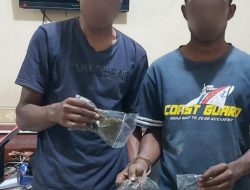 Bawa Ganja, Dua Remaja Diciduk Polisi