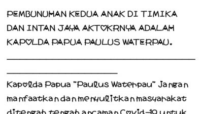 Hina Kapolda Papua Dua Aktivis KNPB Timika Diamankan Polisi