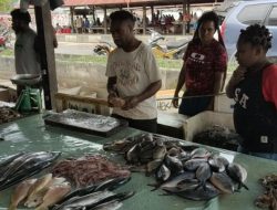 Bupati Bantu Dana Bagi Pedagang Ikan Asli Papua