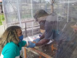 Wartawan Di Wamena Lakukan Rapid Test