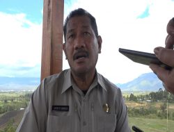 Pemerintah Tidak Punya Kewenangan Intervensi Hasil Kelulusan CPNS