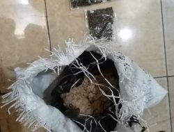 Bawa Ganja, Pria Ini Dijemput Satnarkoba di Bandara Wamena