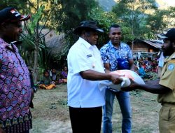 Kegiatan 3 W Budaya Orang Gunung, Bukan Program Pemerintah