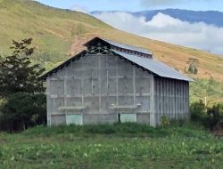 Kamilus Marian : Polemik Pabrik Semen di Jayawijaya Sejak Tahun 1991 Dan Penolakannya