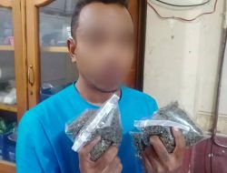 Polisi Ciduk Seorang Pemuda Pengedar Ganja