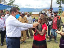 Setiap Kelompok Tani Di Jayawijaya Terima 1 Pasang Ternak Anak Babi