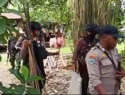 Razia dan Penyisiran di Yahukimo, Tim Gabungan Kembali Sita Ratusan Sajam dan Atribut BK