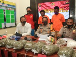 Bawa Ganja 3,5 Kg, Dua Pemuda Ditangkap Polisi, Salah Satunya Warga PNG