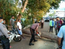 Polisi Bersama Warga Bersihkan Pohon Tumbang Di Jalan Buper