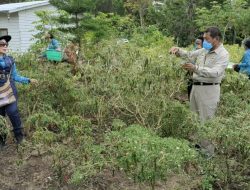 Masyarakat Diminta Manfaatkan Pekarangan Rumah Untuk Berkebun