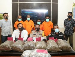 Polisi Jayapura Gagalkan Peredaran Ganja 10 Kg dan Berhasil Amankan Empat Pelaku