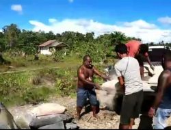 Jemaat Ora Et Labora Distrik Airu Terima Bantuan 50 Sak Semen Dari Usman G Wanimbo