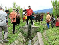 Bupati Jayawijaya Minta Dinas Pertanian Fungsikan Saluran Irigasi Persawahan
