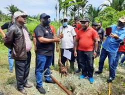 Usia 48 Tahun, PDI Perjuangan Papua Gelar Gerakan Tanam Pohon