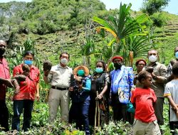 PKK Tingkat Distrik Diharapkan Buka Lahan Perkebunan