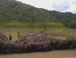 Lima Kampung di Distrik Piramid Terdampak Banjir