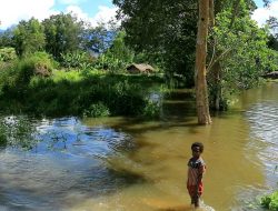 Akibat Banjir, Satu Tempat Wisata Mumi di Jayawijaya Tergenang Air