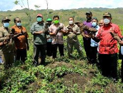 Kunjungi Distrik Assotipo, Bupati Harap Masyarakat Kembali Berkebun