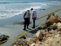 Sesosok Mayat Laki-Laki Ditemukan di Pantai Cibery