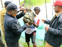 Wakil Bupati Kunker Ke Kampung Goa Wisata Lakukan Panen Raya Ikan Air Tawar