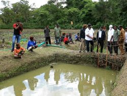 OPD di Jayawijaya Diminta Kembangkan Bibit Ikan Nila Balim