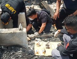 Tim Labfor Olah TKP Kebakaran di Jalan Pasar Lama Abepura