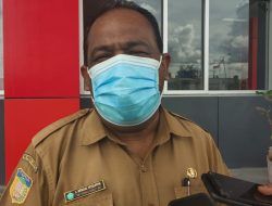 Bibit Ternak Babi Masuk Wamena Wajib Vaksin