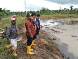 Yahukimo Siapkan 20 Hektar Lahan Persawahan