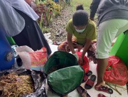 Eco Enzyme Inovasi Produk Untuk Program CSR Pertamina DPPU Pattimura