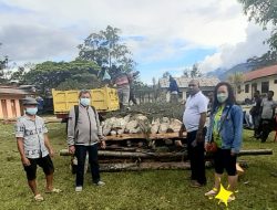 50 Tahun GPdI di Jayawijaya, Panitia Rencana sembelih 50 Ekor Wam