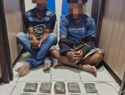 Dua Pengedar Ganja Diciduk Polisi Jayapura