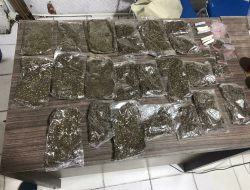 Polisi Jayapura Amankan Puluhan Paket Narkotika Jenis Ganja di Rusun Pasar Inpres Dok 9