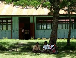 Pemerintah Rekrut 200 Tenaga Guru Kontrak Anak Asli Jayawijaya