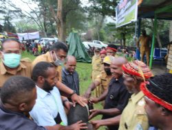 Pemda Serahkan Bantuan 52 Bibit Ternak Babi Kepada Warga Assotipo