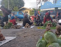 Gunakan Hak Inisiatif, DPRP Siapkan Dua Perda Proteksi OAP