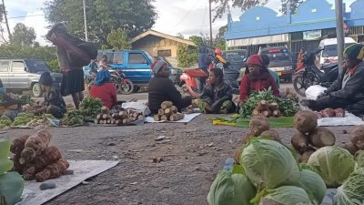 Gunakan Hak Inisiatif, DPRP Siapkan Dua Perda Proteksi OAP