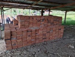 Kualitas Batu Bata di Lanny Jaya dinilai Terbaik Di Pegunungan Tengah Papua