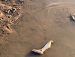 Potongan Kaki Misterius Ditemukan di Dermaga PPI Poumako