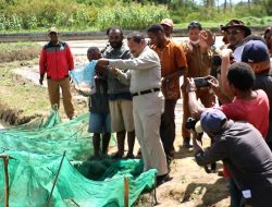Bupati Harap, Potensi Ikan Air Tawar di Kembangkan