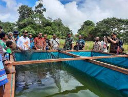 Penuhi Kebutuhan Ikan, Pemkab Nduga Adakan Pelatihan Budi Daya Ikan