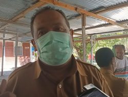 Kabupaten Jayawijaya Miliki Stok 1.075 Hewan Kurban