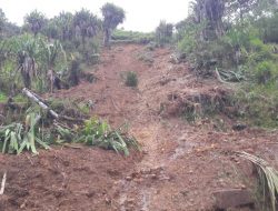 Lagi, Longsor Terjang Sembilan Kampung di Distrik Lolat Yahukimo