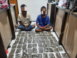 Polresta Jayapura Gagalkan Penyelundupan Ganja Dari PNG Seberat 2,8 Kg