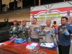 Sinergi Polresta Jayapura Dan TNI AL Berhasil Amankan Ganja 2 Kilogram