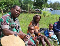 Peduli Akan Ketahanan Pangan, Dandim 1702/JWY Turun Langsung Melakukan Pendampingan Penanaman Padi Di Distrik Pisugi