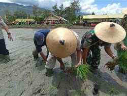 Dandrem 172 PWY Ajak Semua Pihak Berkolaborasi Kembangkan Lahan Persawahan