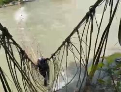 Makan Banyak Korban, Oktemka : Pemerintah Harus Segera Lanjutkan Pekerjaan Rangka Jembatan di Sungai Digoel